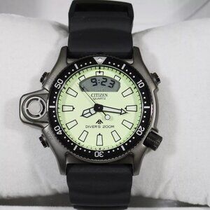 Citizen Promaster Full Lume Dial Divers Watch
